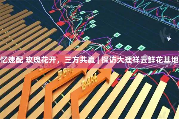 忆速配 玫瑰花开，三方共赢 | 探访大理祥云鲜花基地